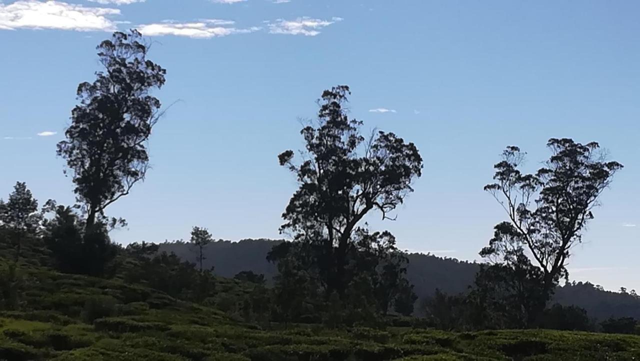 The Paul Woods Hotel Nuwara Eliya Eksteriør billede